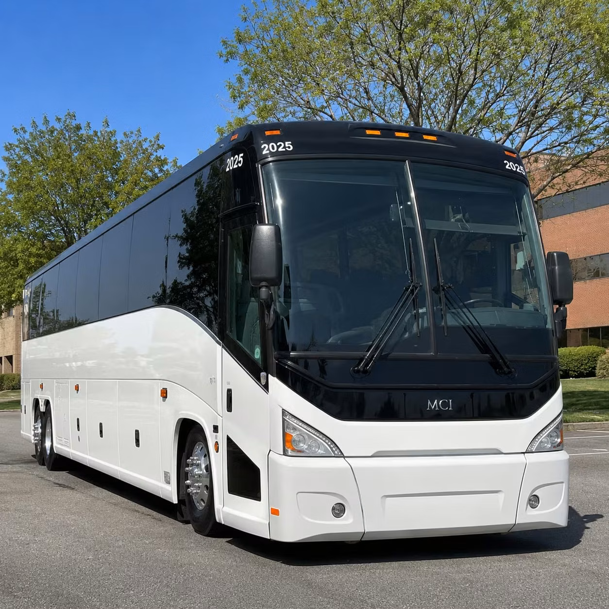 amalie arena and tampa concert transportation from clearwater
