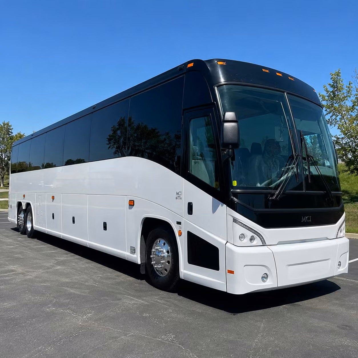 when your clearwater group needs more than one bus busrentalclearwater com has you covered